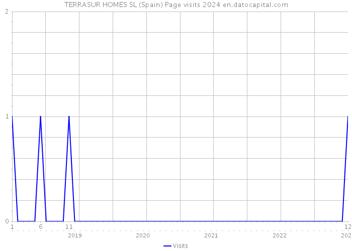 TERRASUR HOMES SL (Spain) Page visits 2024 