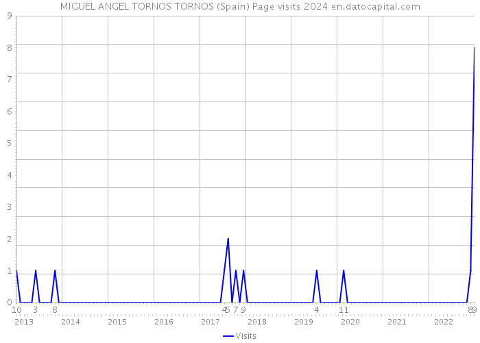MIGUEL ANGEL TORNOS TORNOS (Spain) Page visits 2024 