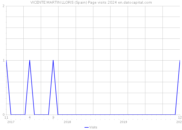 VICENTE MARTIN LLORIS (Spain) Page visits 2024 