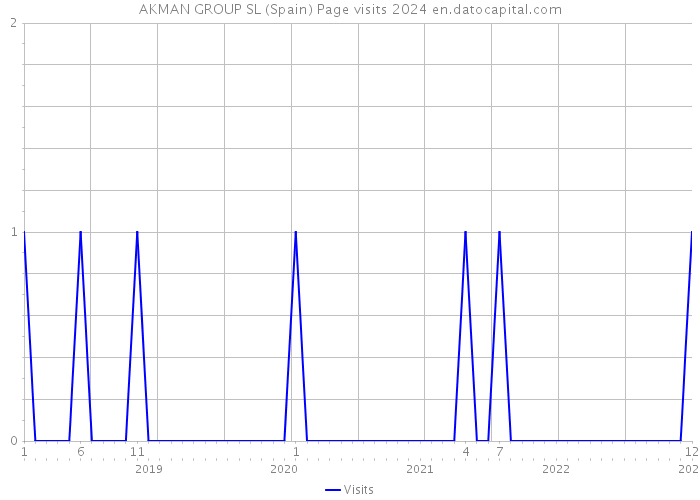 AKMAN GROUP SL (Spain) Page visits 2024 