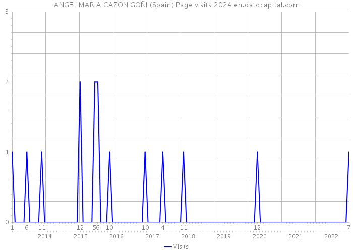 ANGEL MARIA CAZON GOÑI (Spain) Page visits 2024 