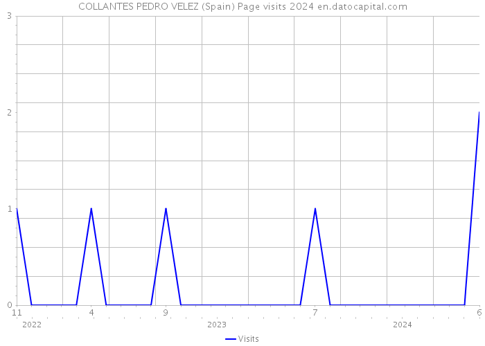 COLLANTES PEDRO VELEZ (Spain) Page visits 2024 