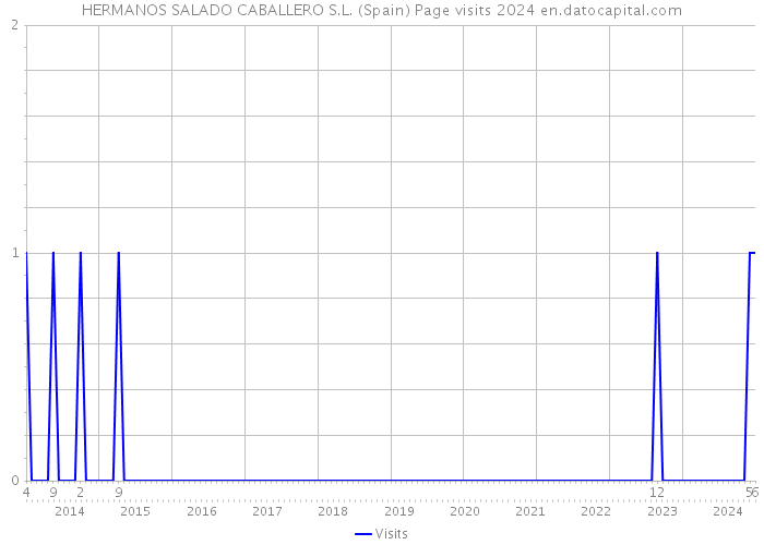 HERMANOS SALADO CABALLERO S.L. (Spain) Page visits 2024 