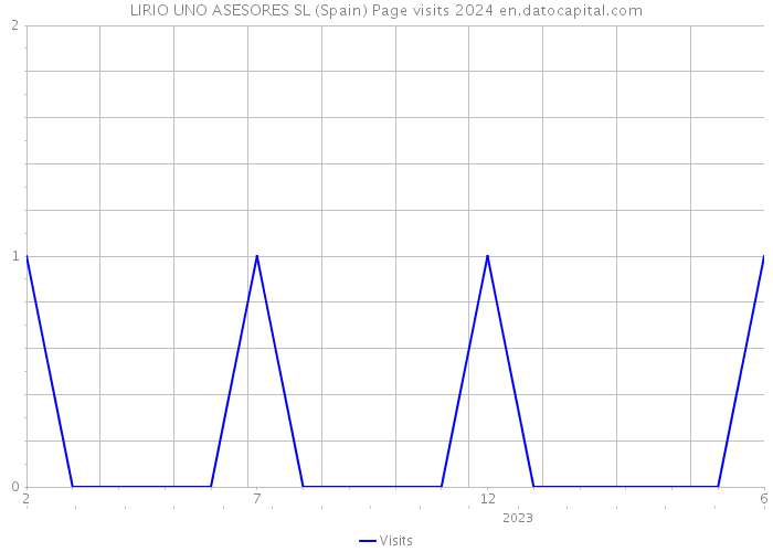 LIRIO UNO ASESORES SL (Spain) Page visits 2024 