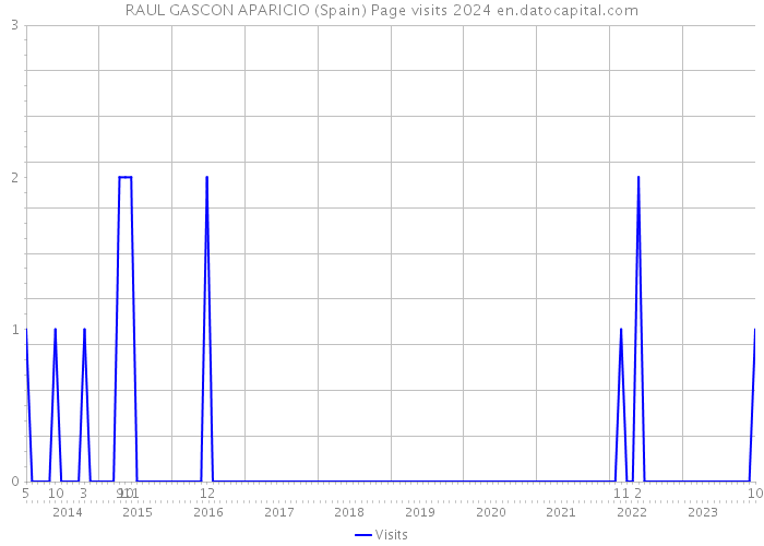 RAUL GASCON APARICIO (Spain) Page visits 2024 