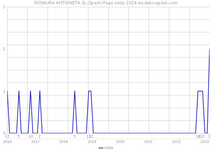 ROSAURA ANTONIETA SL (Spain) Page visits 2024 