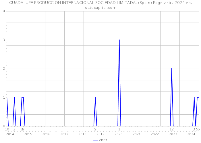 GUADALUPE PRODUCCION INTERNACIONAL SOCIEDAD LIMITADA. (Spain) Page visits 2024 