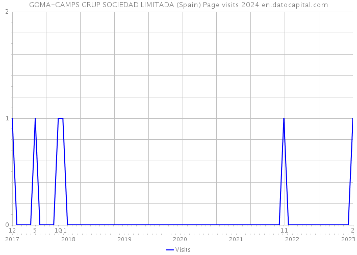 GOMA-CAMPS GRUP SOCIEDAD LIMITADA (Spain) Page visits 2024 