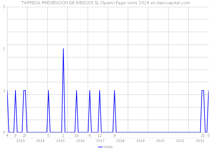 TAPREGA PREVENCION DE RIESGOS SL (Spain) Page visits 2024 