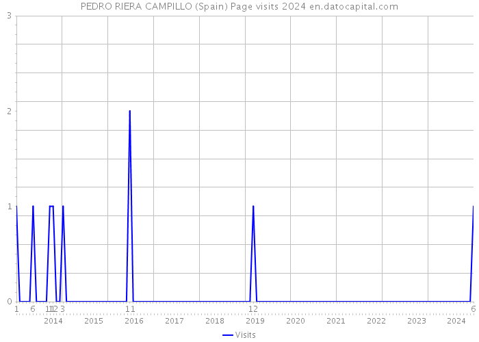 PEDRO RIERA CAMPILLO (Spain) Page visits 2024 