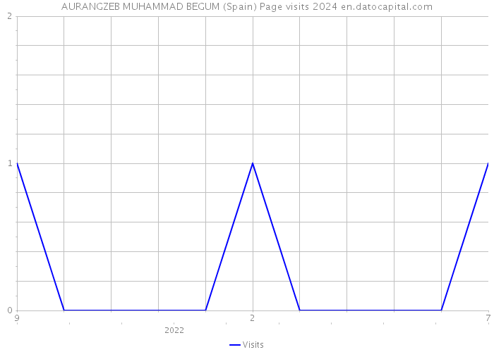 AURANGZEB MUHAMMAD BEGUM (Spain) Page visits 2024 