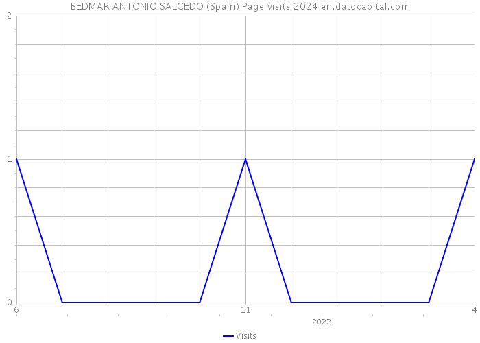 BEDMAR ANTONIO SALCEDO (Spain) Page visits 2024 