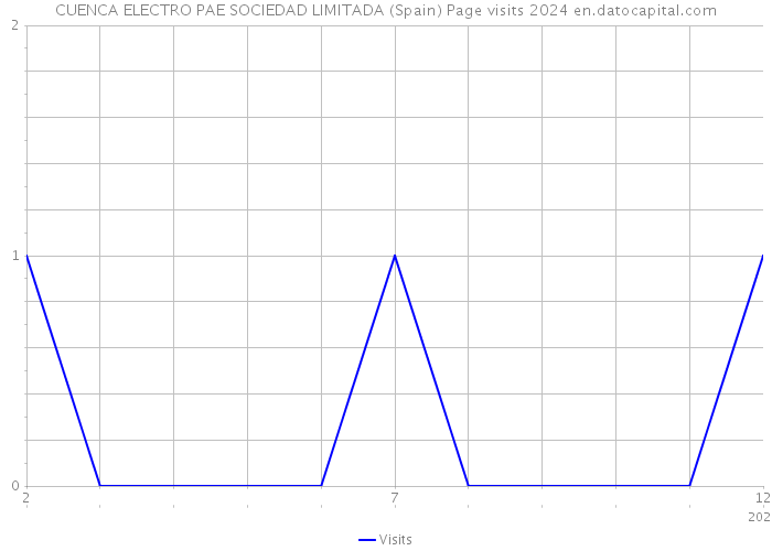 CUENCA ELECTRO PAE SOCIEDAD LIMITADA (Spain) Page visits 2024 