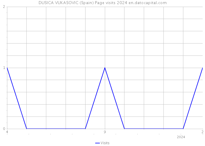 DUSICA VUKASOVIC (Spain) Page visits 2024 