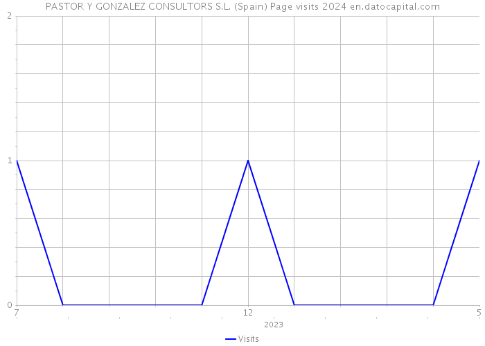PASTOR Y GONZALEZ CONSULTORS S.L. (Spain) Page visits 2024 