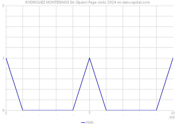 RODRIGUEZ MONTESINOS SA (Spain) Page visits 2024 