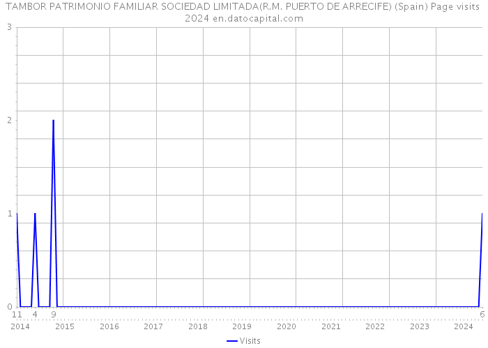 TAMBOR PATRIMONIO FAMILIAR SOCIEDAD LIMITADA(R.M. PUERTO DE ARRECIFE) (Spain) Page visits 2024 