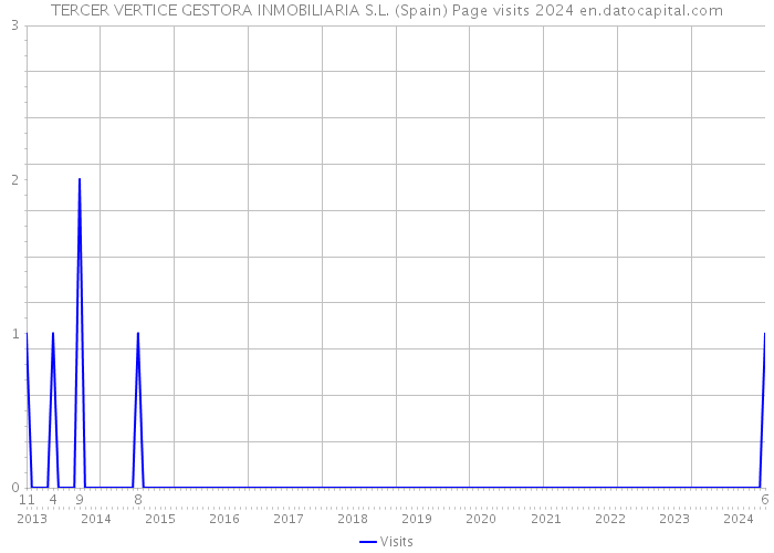 TERCER VERTICE GESTORA INMOBILIARIA S.L. (Spain) Page visits 2024 