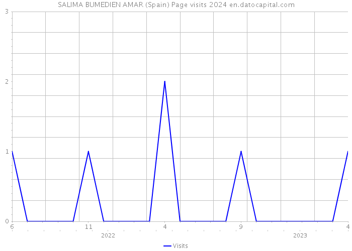 SALIMA BUMEDIEN AMAR (Spain) Page visits 2024 