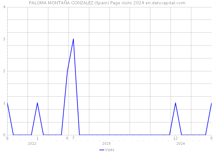 PALOMA MONTAÑA GONZALEZ (Spain) Page visits 2024 