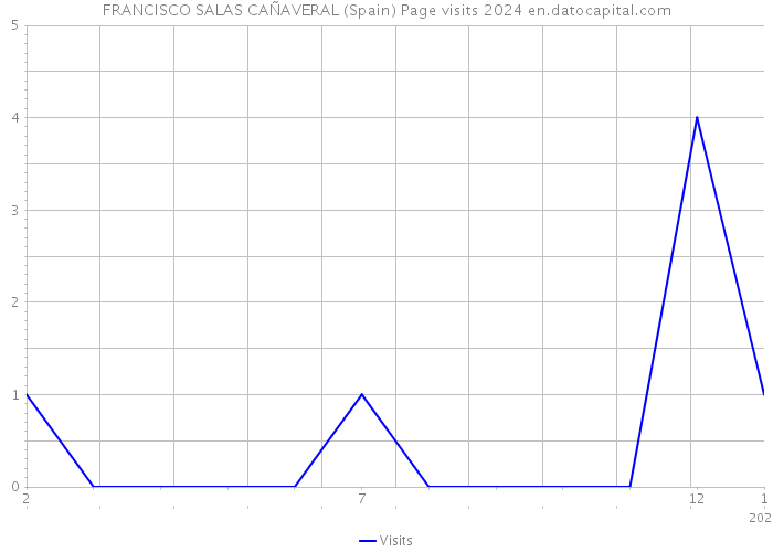 FRANCISCO SALAS CAÑAVERAL (Spain) Page visits 2024 