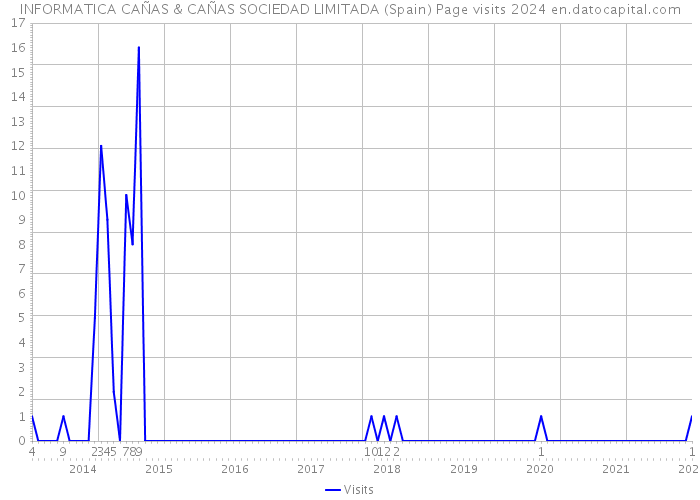 INFORMATICA CAÑAS & CAÑAS SOCIEDAD LIMITADA (Spain) Page visits 2024 