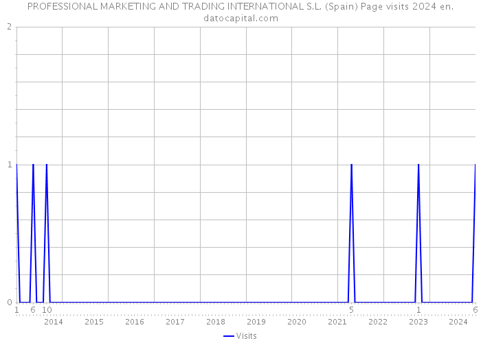 PROFESSIONAL MARKETING AND TRADING INTERNATIONAL S.L. (Spain) Page visits 2024 