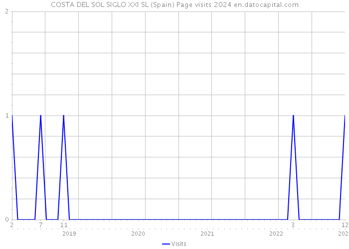 COSTA DEL SOL SIGLO XXI SL (Spain) Page visits 2024 