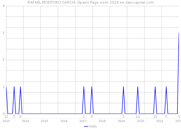 RAFAEL MONTORO GARCIA (Spain) Page visits 2024 