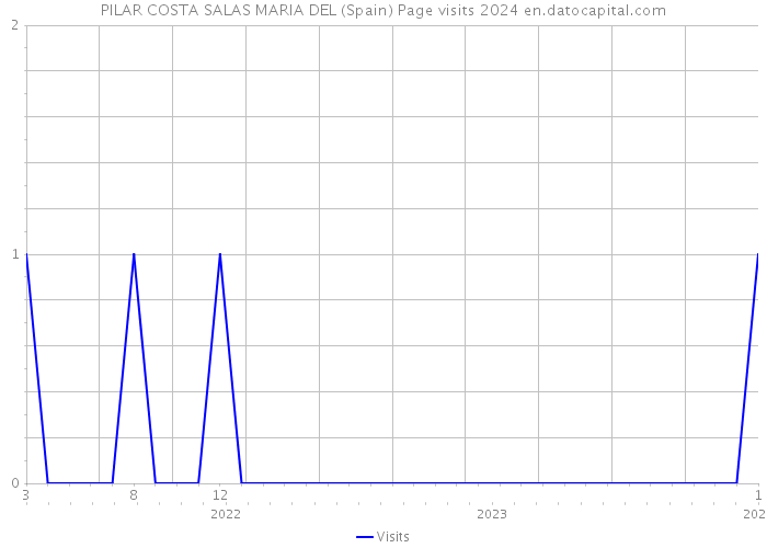 PILAR COSTA SALAS MARIA DEL (Spain) Page visits 2024 