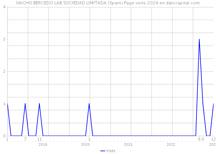 NACHO BERCEDO LAB SOCIEDAD LIMITADA (Spain) Page visits 2024 