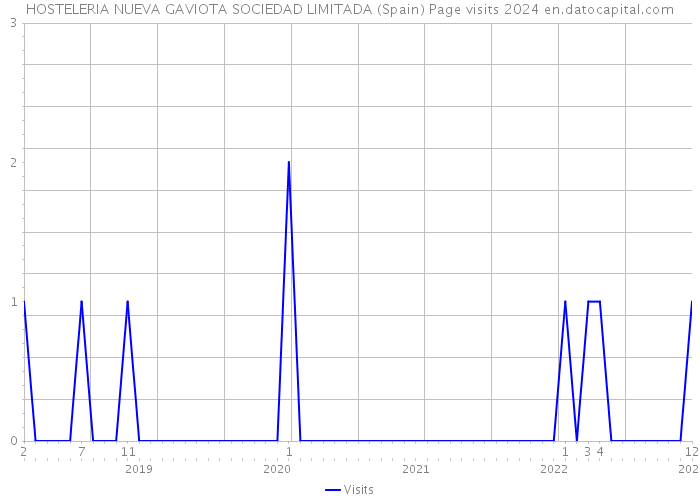 HOSTELERIA NUEVA GAVIOTA SOCIEDAD LIMITADA (Spain) Page visits 2024 