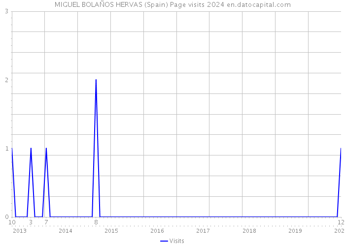 MIGUEL BOLAÑOS HERVAS (Spain) Page visits 2024 