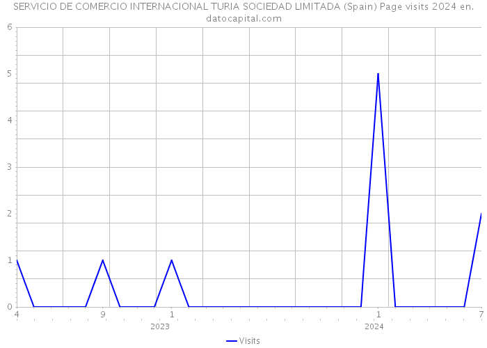 SERVICIO DE COMERCIO INTERNACIONAL TURIA SOCIEDAD LIMITADA (Spain) Page visits 2024 