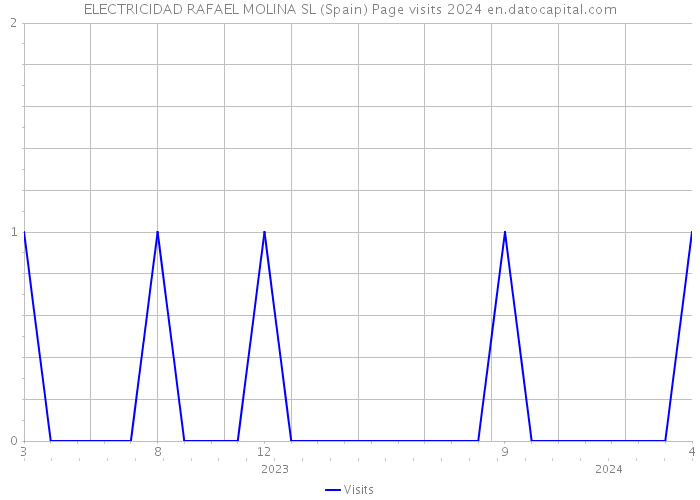 ELECTRICIDAD RAFAEL MOLINA SL (Spain) Page visits 2024 