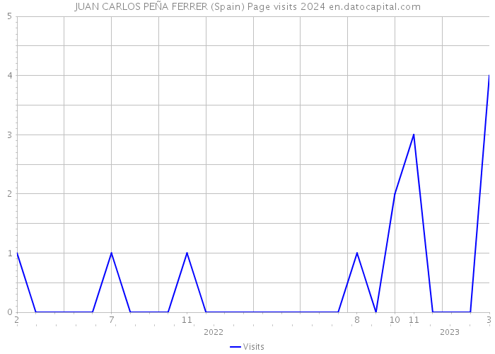 JUAN CARLOS PEÑA FERRER (Spain) Page visits 2024 