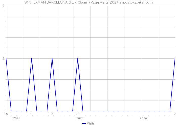 WINTERMAN BARCELONA S.L.P (Spain) Page visits 2024 