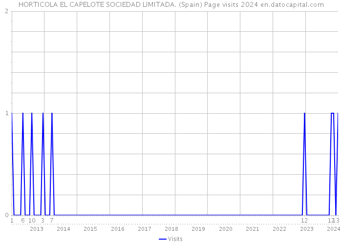 HORTICOLA EL CAPELOTE SOCIEDAD LIMITADA. (Spain) Page visits 2024 