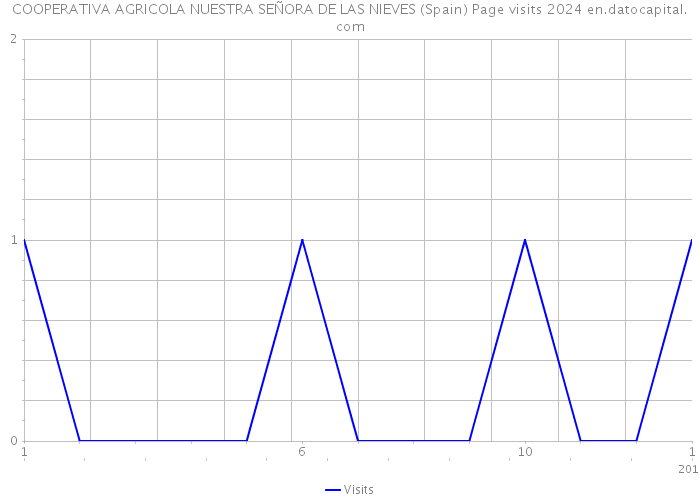 COOPERATIVA AGRICOLA NUESTRA SEÑORA DE LAS NIEVES (Spain) Page visits 2024 