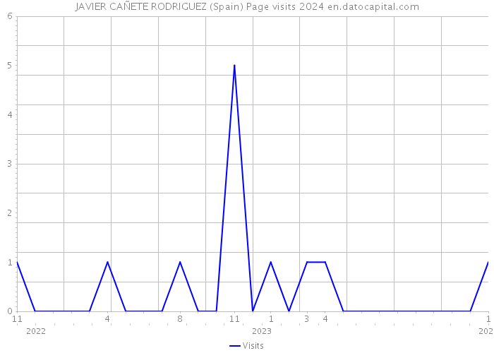 JAVIER CAÑETE RODRIGUEZ (Spain) Page visits 2024 