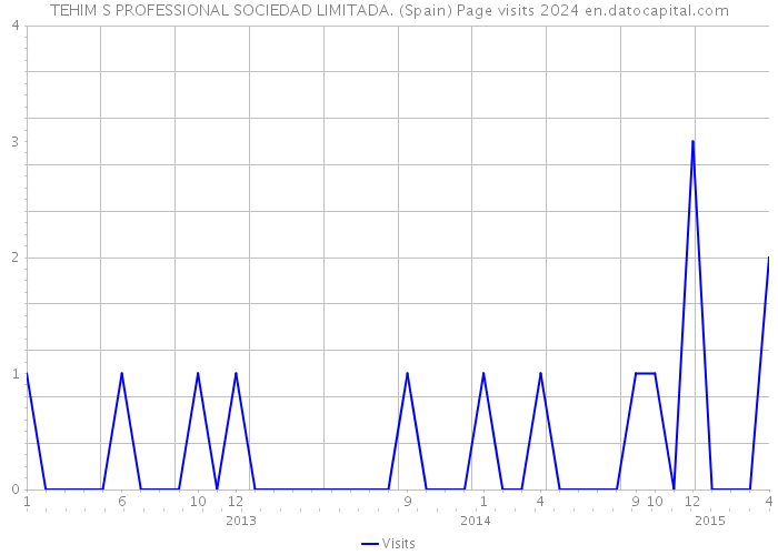 TEHIM S PROFESSIONAL SOCIEDAD LIMITADA. (Spain) Page visits 2024 
