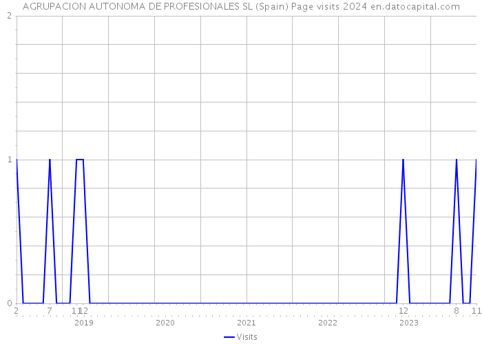 AGRUPACION AUTONOMA DE PROFESIONALES SL (Spain) Page visits 2024 