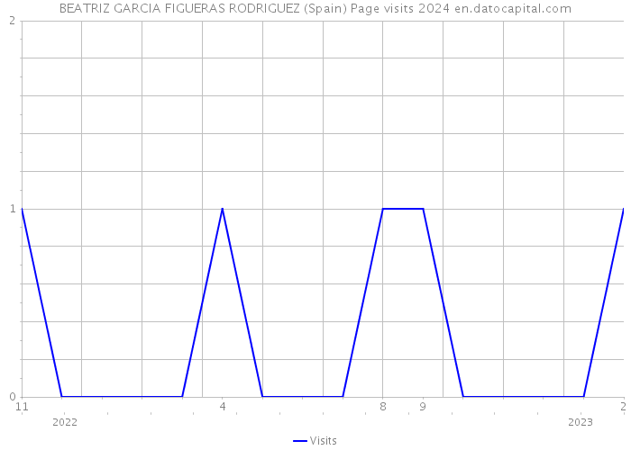 BEATRIZ GARCIA FIGUERAS RODRIGUEZ (Spain) Page visits 2024 