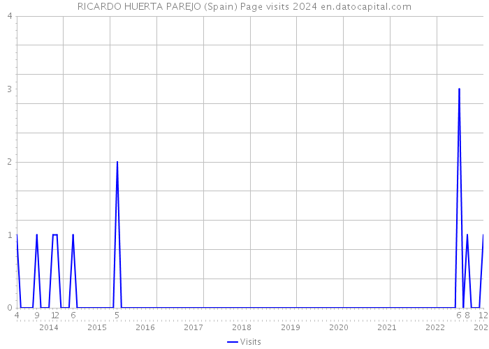 RICARDO HUERTA PAREJO (Spain) Page visits 2024 