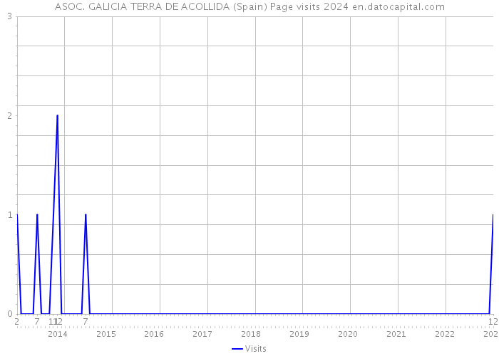 ASOC. GALICIA TERRA DE ACOLLIDA (Spain) Page visits 2024 