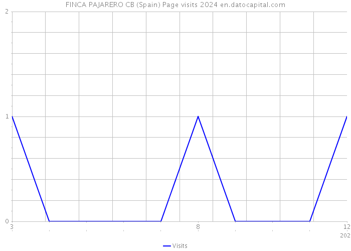 FINCA PAJARERO CB (Spain) Page visits 2024 