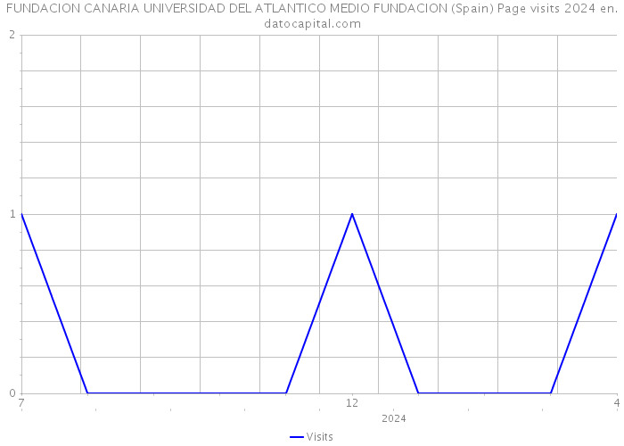FUNDACION CANARIA UNIVERSIDAD DEL ATLANTICO MEDIO FUNDACION (Spain) Page visits 2024 