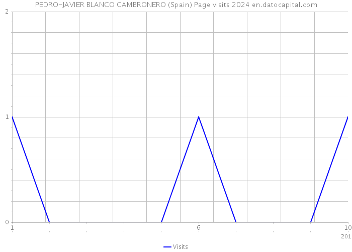 PEDRO-JAVIER BLANCO CAMBRONERO (Spain) Page visits 2024 