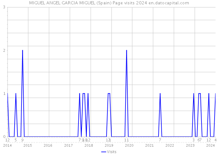 MIGUEL ANGEL GARCIA MIGUEL (Spain) Page visits 2024 