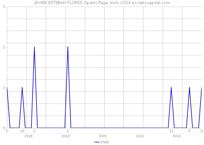 JAVIER ESTEBAN FLORES (Spain) Page visits 2024 